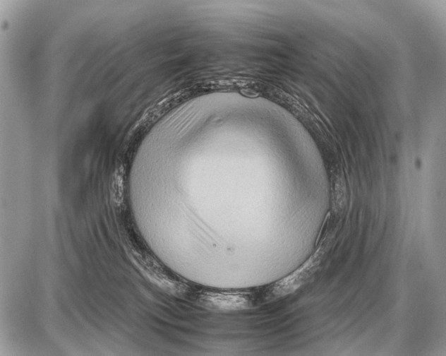 X0000087400183200705111835