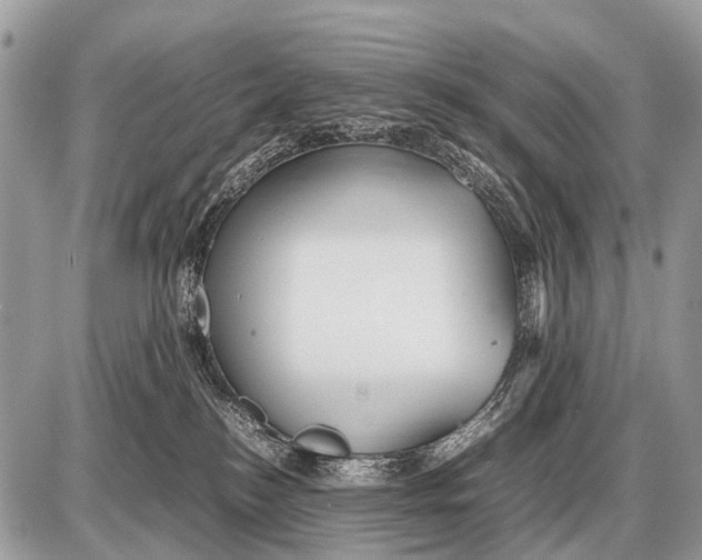 X0000087400184200705111835