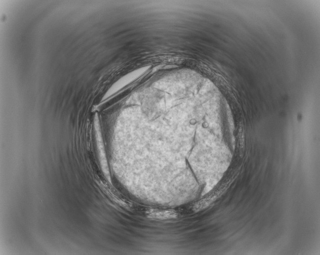 X0000087400185200705111835