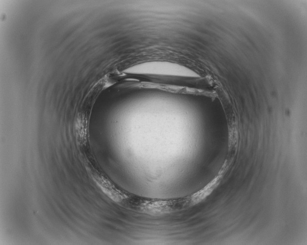 X0000087400186200705111835