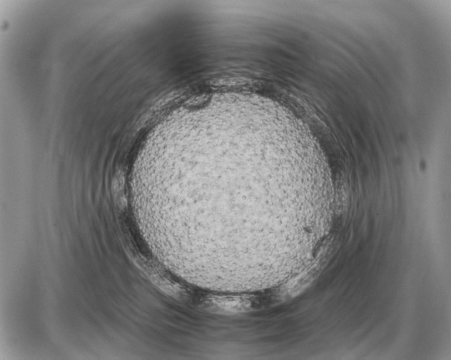 X0000087400187200705111835