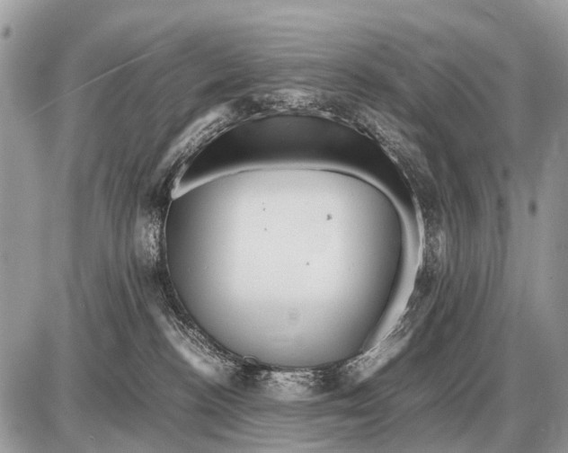 X0000087400188200705111835