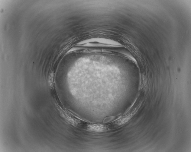 X0000087400189200705111835