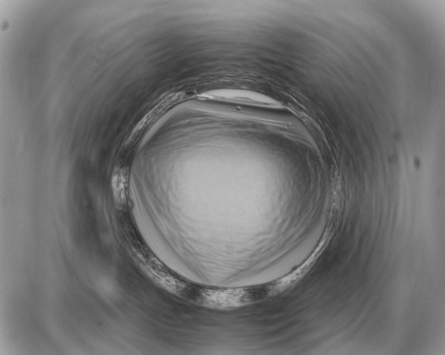 X0000087400191200705111835