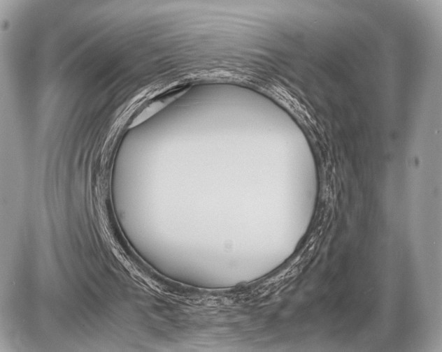 X0000087400193200705111834