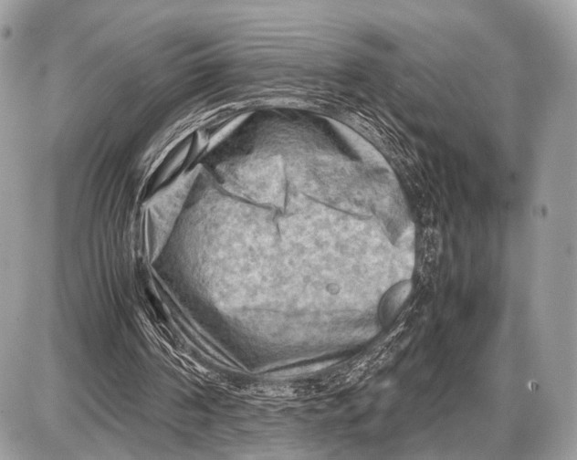 X0000087400194200705111834