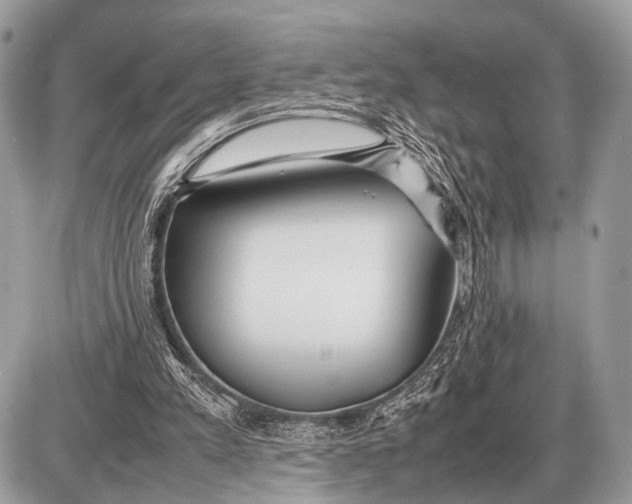 X0000087400197200705111834