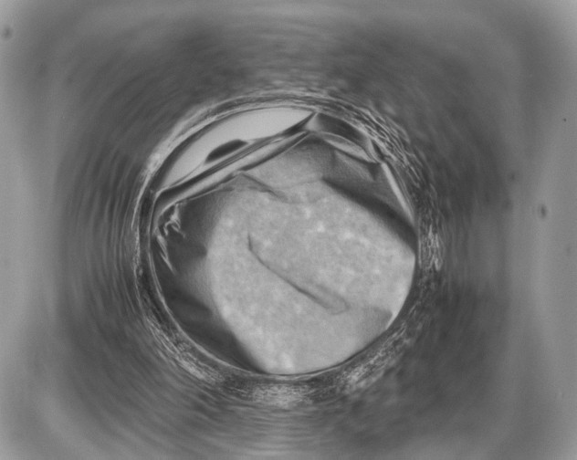 X0000087400198200705111834