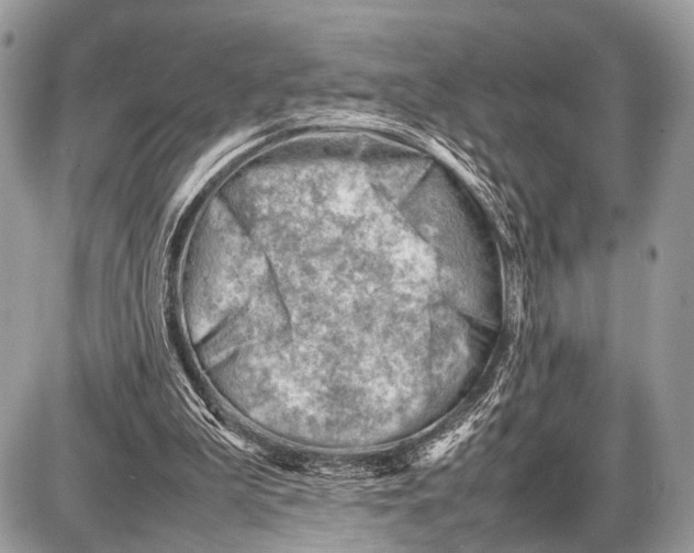 X0000087400199200705111834