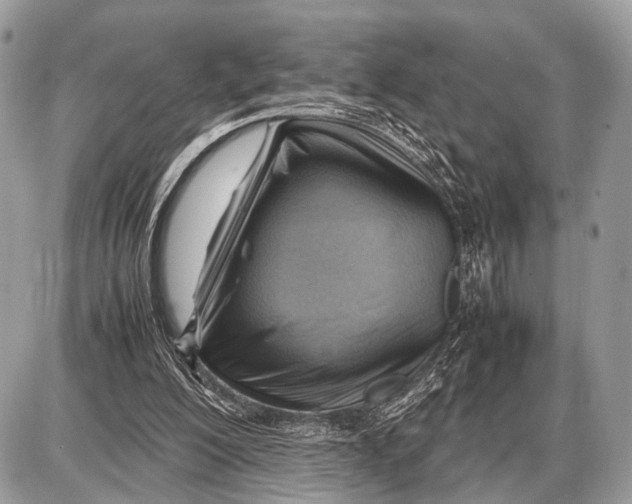 X0000087400200200705111834