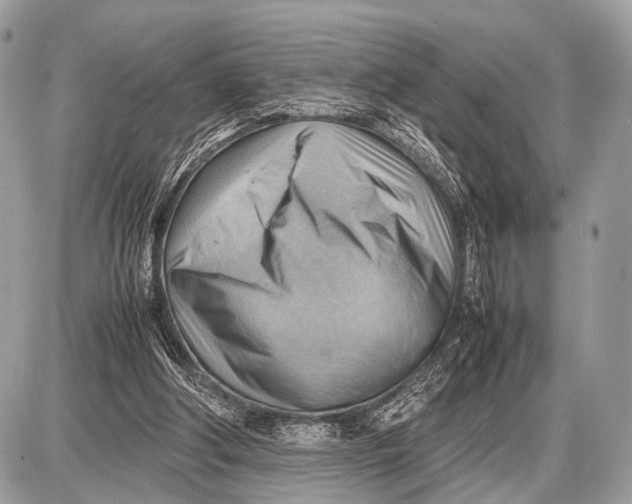 X0000087400202200705111834