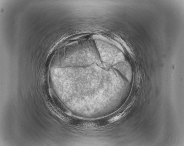 X0000087400203200705111834