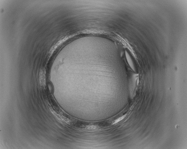 X0000087400204200705111834