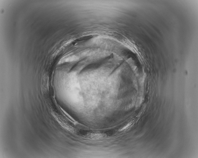 X0000087400205200705111834