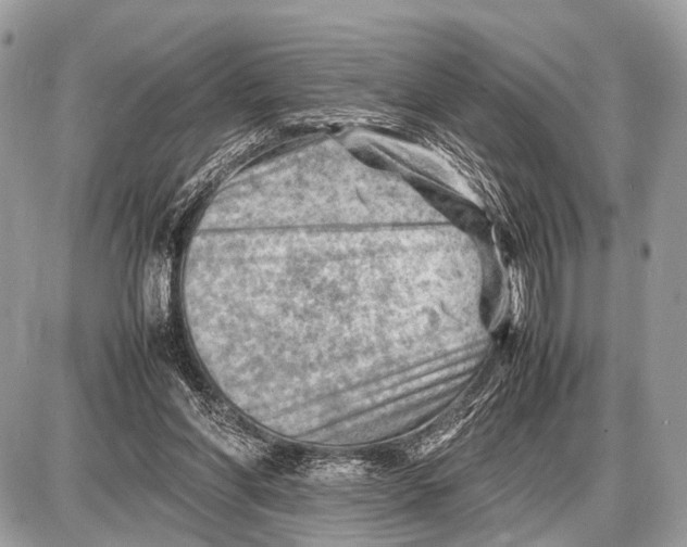 X0000087400206200705111834