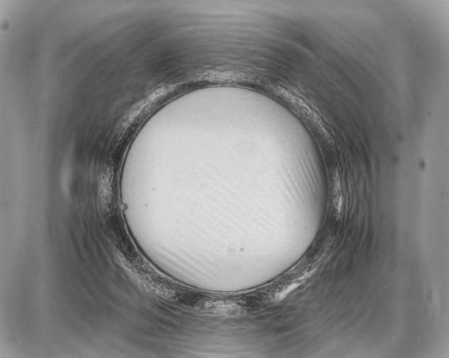 X0000087400208200705111834