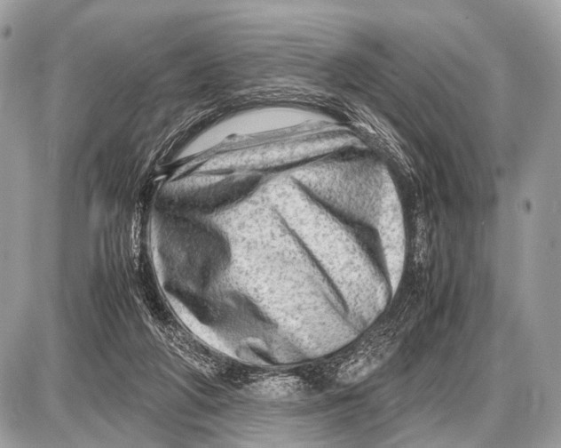 X0000087400210200705111834