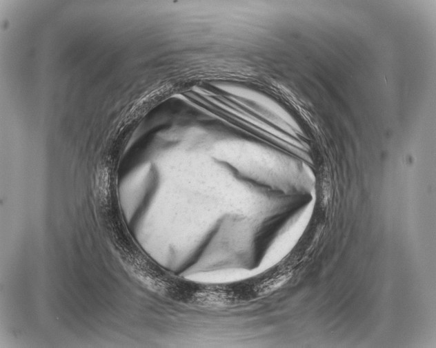 X0000087400211200705111834