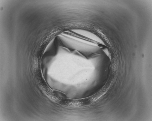 X0000087400213200705111834