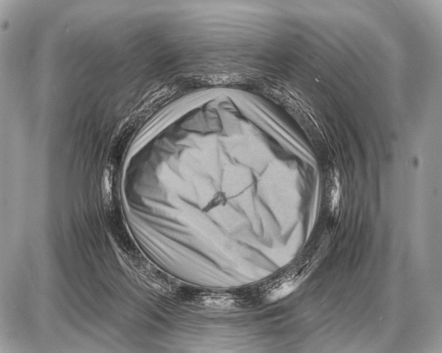 X0000087400214200705111834