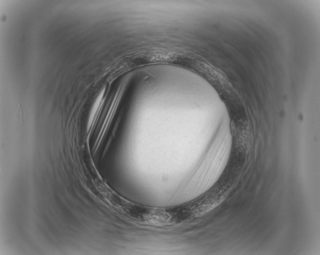 X0000087400215200705111834