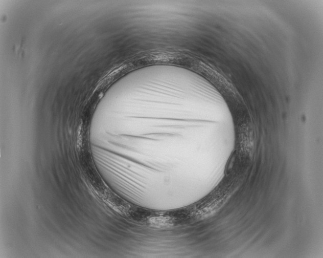 X0000087400216200705111834