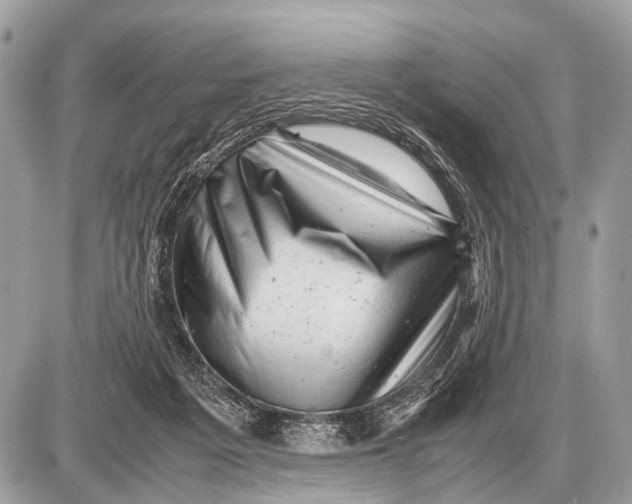 X0000087400217200705111834