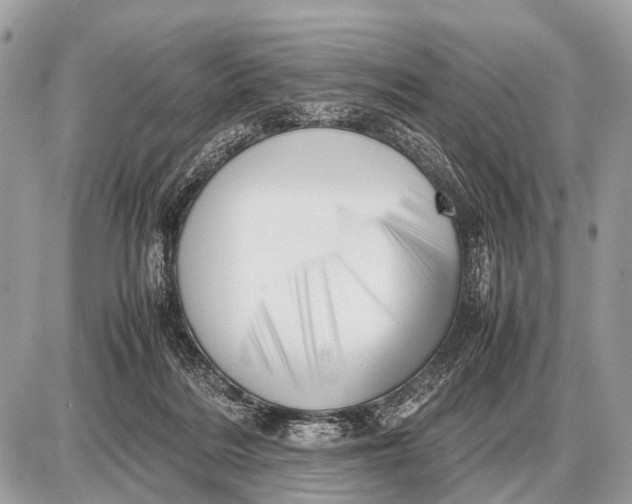 X0000087400220200705111834