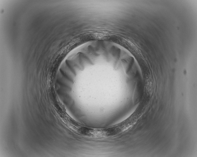 X0000087400221200705111834