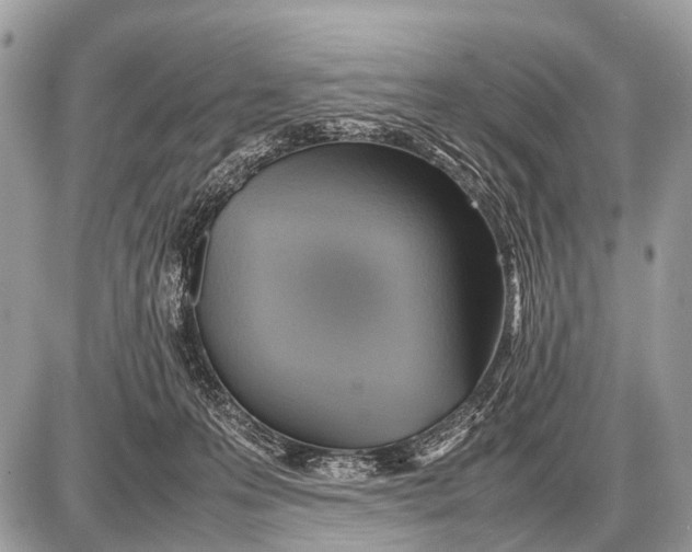 X0000087400223200705111834