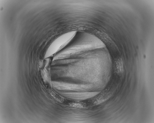 X0000087400224200705111834