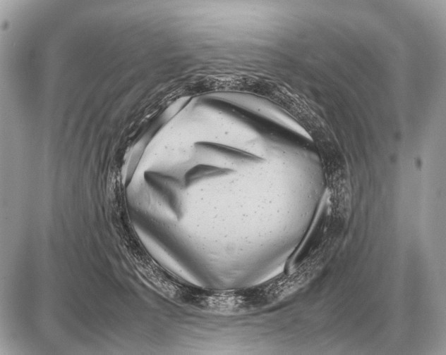 X0000087400225200705111834