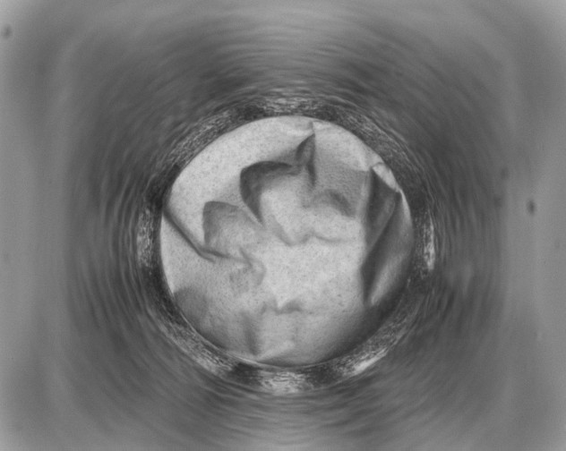 X0000087400226200705111834