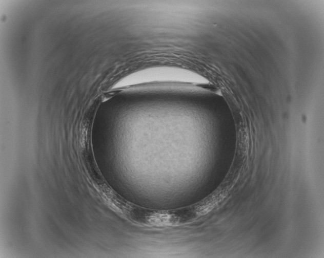 X0000087400227200705111834