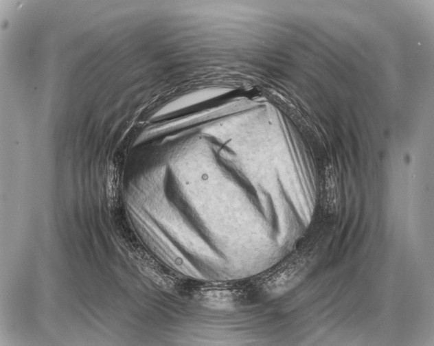 X0000087400228200705111834