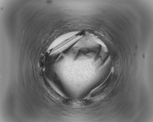 X0000087400229200705111833