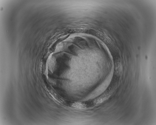 X0000087400231200705111833