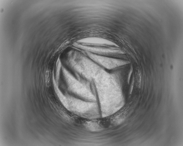 X0000087400232200705111833