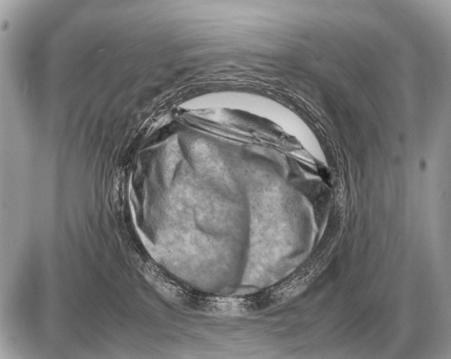 X0000087400233200705111833