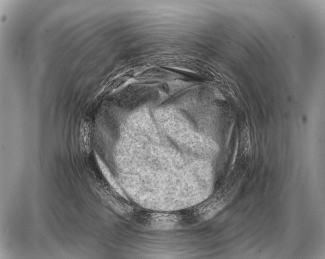 X0000087400234200705111833