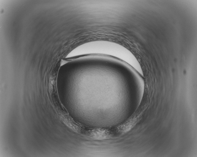 X0000087400235200705111833