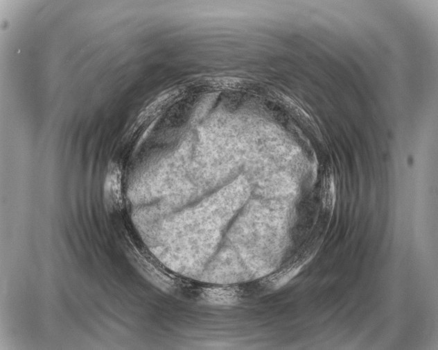 X0000087400238200705111833