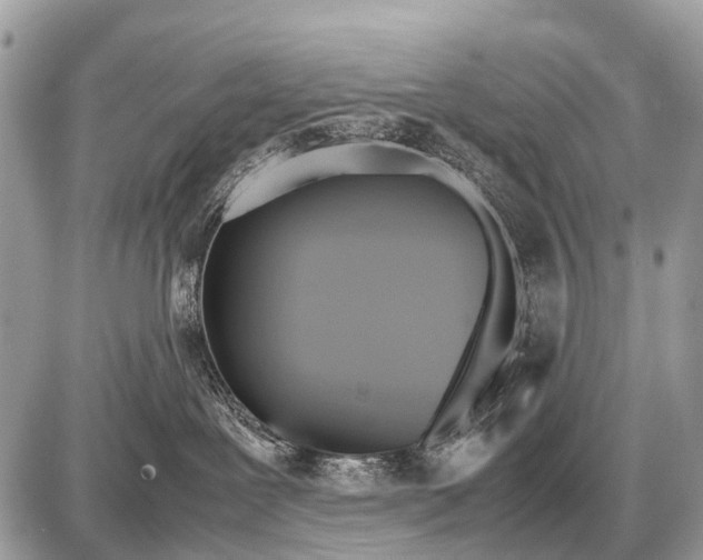 X0000087400239200705111833