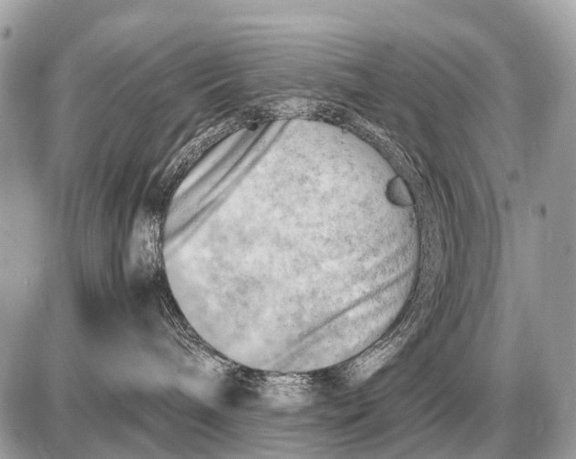 X0000087400240200705111833