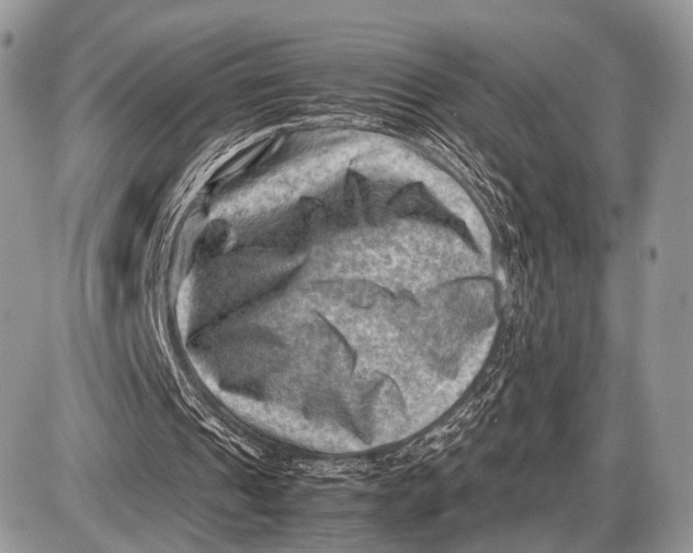 X0000087400241200705111833