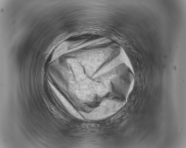 X0000087400242200705111833