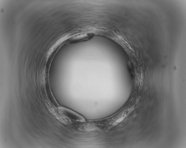 X0000087400244200705111833