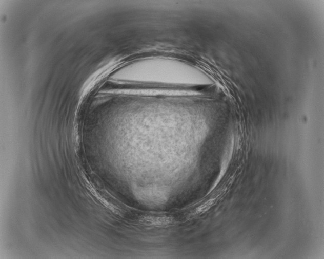 X0000087400245200705111833