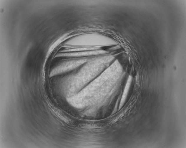 X0000087400246200705111833