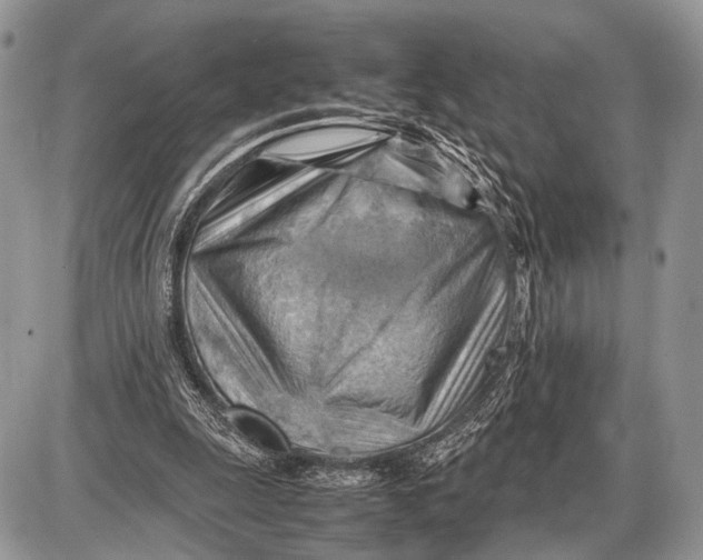 X0000087400247200705111833